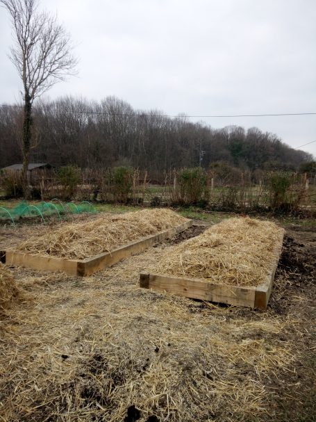 Création de planche de culture en permaculture